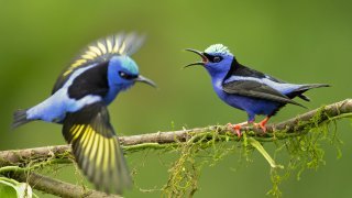  Voyage nature et culture au Nicaragua - Terra Nicaragua 