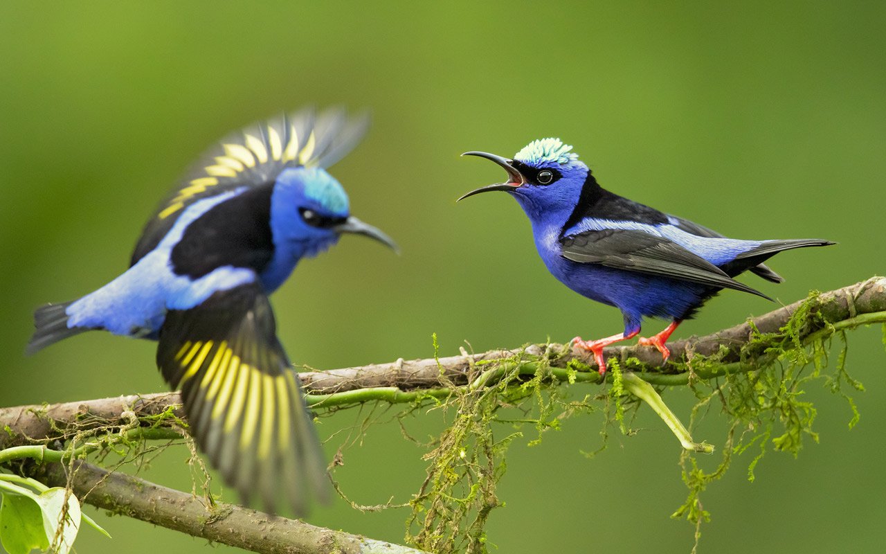 Voyage nature et culture au Nicaragua - Terra Nicaragua