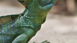 Séjour incontournable au Nicaragua