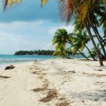 Les Caraïbes