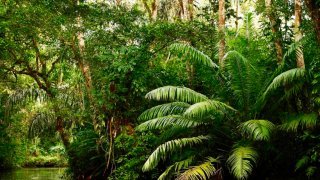 Les incontournables du Nicaragua en un voyage